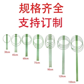 昙花专用支架爬藤花架园艺支柱架阳台绿萝月季铁线莲藤本花卉植物