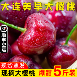 大连美早大樱桃新鲜水果，5斤装当季整箱4j3孕妇，国产车厘子