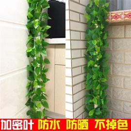 真绿萝叶餐厅吊顶装饰品假树叶花藤水管道空调管阳台缠绕遮挡
