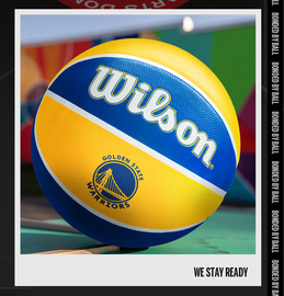 Wilson威尔胜篮球NBA球队队徽设计耐磨7号篮球WTB1300IBGOLCN