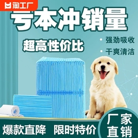 狗狗尿垫尿片宠物用品，厕所除臭吸水兔子，猫咪尿不湿加厚100片防尿