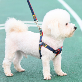 狗狗牵引绳大型中型小型犬狗链子，狗项圈泰迪，金毛遛狗绳子宠物用品