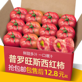 正宗普罗旺斯沙瓤西红柿5-9斤装自然熟山东非铁皮柿子水果大番茄
