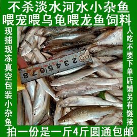 淡水无盐新鲜杂鱼淡水小白条鱼干虾干鳑鲏鲫鱼河虾泥鳅喂乌龟龙鱼