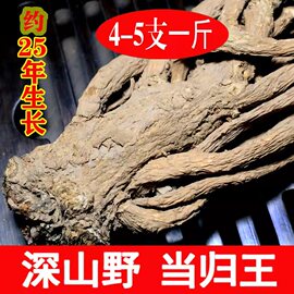 250g25年纯野生特级岷县老当归当季新货整根特大天然无硫熏中药材