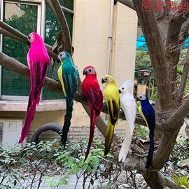 创意仿真鸟羽毛小鸟，彩色鹦鹉假鸟摆件，花园橱窗装饰道具工艺品挂件