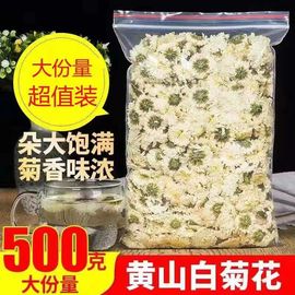 正宗黄山贡菊500g 特级白菊花散装泡水菊花茶 产地花草茶