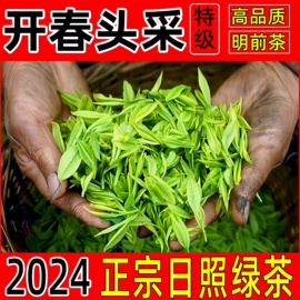 特级日照绿茶2024年新茶春茶头采山东正宗特产明前高端茶叶板栗香