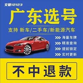 广东深圳东莞广州珠海12123新能源自编自选是否占用查询车牌选号