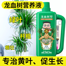 龙血树专用肥营养液盆栽，植物室内绿植养花花肥，龙须树通用复合花卉