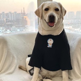 狗狗衣服大型犬，夏季潮牌拉布拉多金毛，衣服防掉毛狗狗中型犬薄款