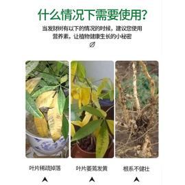 发财树肥料专用肥盆栽家用绿植免稀释营养液治叶子发黄室内招财树