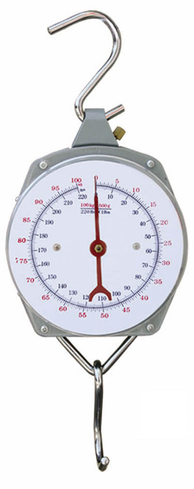 50kg100kg手提秤弹簧秤便携秤