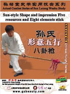 孙氏形意五行八卦枪 孙禄堂武学实用技击 正版 1DVD 天韵