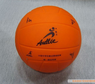 Ballon de volley - Ref 2013552 Image 1
