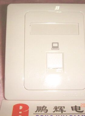 西蒙 一位 电脑 网络信息 插座 装修面板（免打线型）