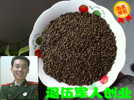 中药材决明子500克生决明子，炒决明子决明子茶，散装决明子茶