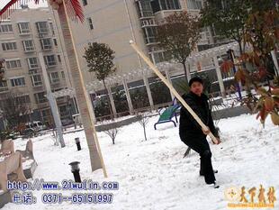 心意六合大杆长480厘米 白蜡杆太极大杆 新上市 传统型