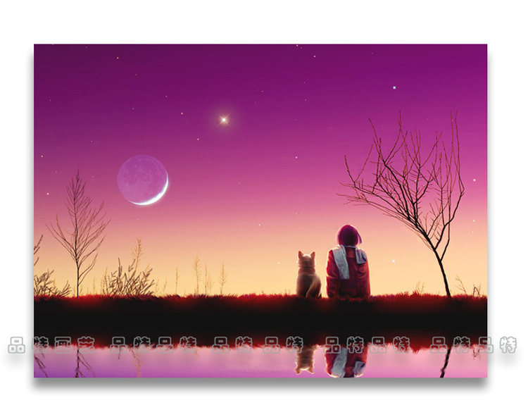 客厅卧室玄关酒店饭店休闲区35*50唯美无框画装饰画挂画星语心愿