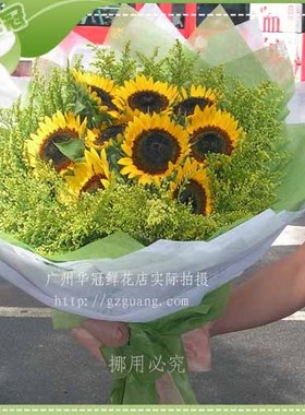 BH1635/9支/太阳花/广州鲜花店/广州鲜花/广州花店/广州实体花店