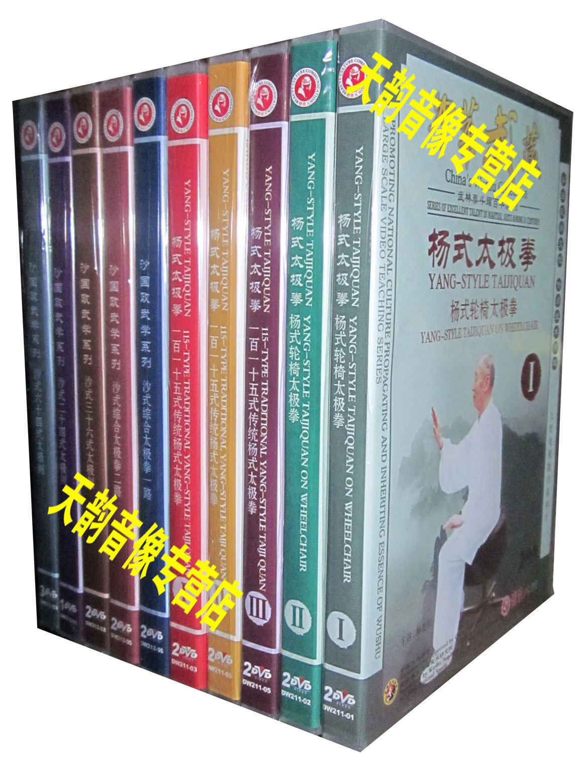 正版 杨式太极拳+沙国政武学 20DVD 李斌 林墨根