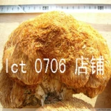 Daxing Aneling Daduo Authentic Wild Herbin Mushroom Северо -восток Специальные продукты высушены сухой 250 г гримора Гермора порошка гриба