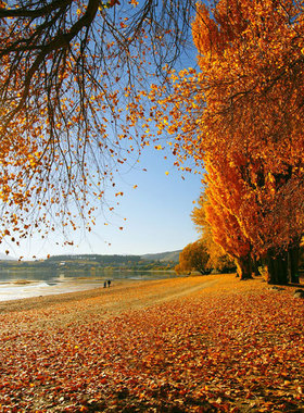 热销摄影背景布拍摄拍照背景风景摄影背景纸婚纱影楼背景CM-3718