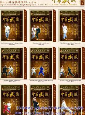 【中华武藏】少林拳 嵩山少林拳谱系列【共151碟DVD张 】