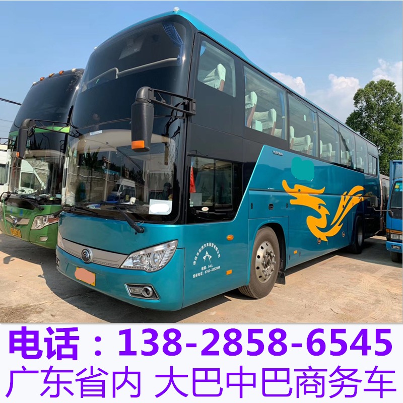 广州 佛山 珠海 江门 中山租车 5-53座旅游大巴中巴租车