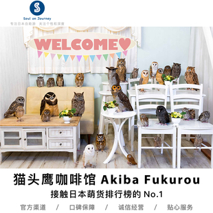 Journey」东京 「Soul Fukurou Owlcafe Akiba 猫头鹰咖啡馆