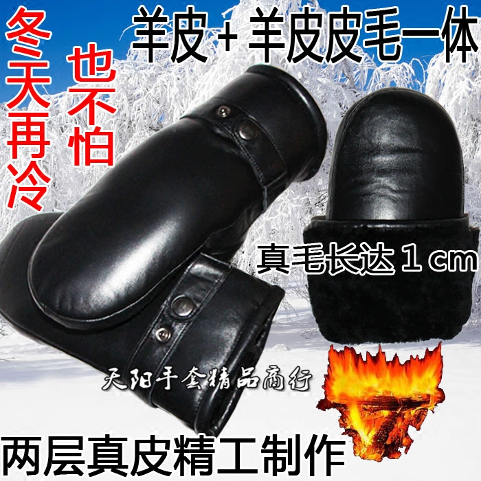 Gants pour homme        en peau de mouton - Ref 2781435 Image 1