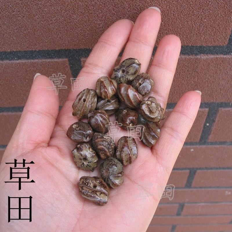 DIY配件原籽龙骨籽种散珠特价