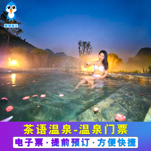 [清远英德宝晶宫度假酒店茶语温泉-温泉票][茶语温泉-温泉票]天鹅湖茶语温泉票