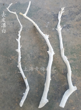造型室内摆放橱窗树杆龙骨干枝