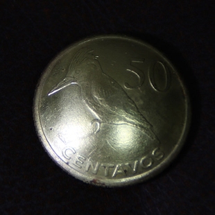 铜币22.5mm 手工制作养牛硬币扣 啄木鸟 财布扣 D27一10 真硬币