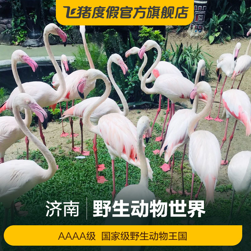 [济南野生动物世界-大门票]济南野生动物世界 大门票