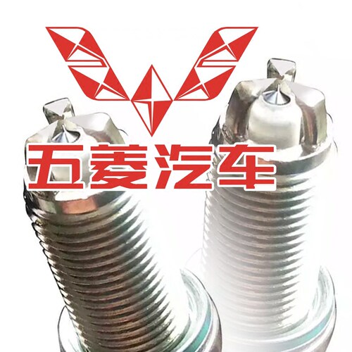 油气两用4火花塞zejun铱金五菱