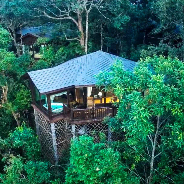 私家团·西双版纳普洱6天【住小熊猫庄园独栋木屋别墅 安纳塔拉】