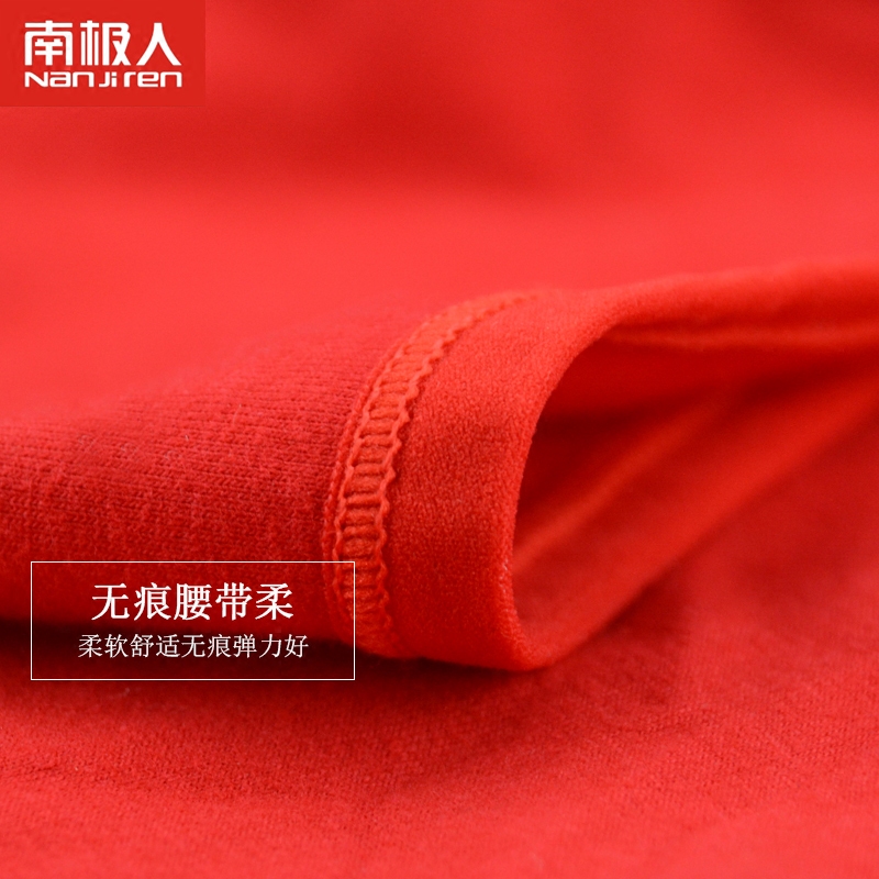 Slip jeunesse NF13X50523 en coton - Ref 644183 Image 4