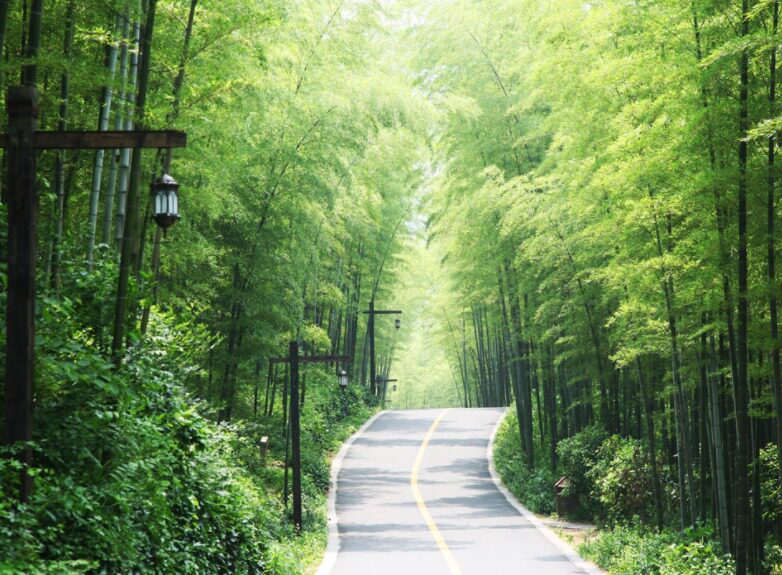 【定制游】溧阳天目湖南山竹海私人企业团队定制团建拓展篝火烧烤