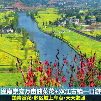 Chongqing Tongnan Canola flower Base Shuangjiang Ancient Town one-day tour Spring Flowers Shoppingin the Holiday Line/Visas send off/Travel services , Visit/Tuanyou , Domestic travel with the group  category - from Buy2taobao.com to provide professional Taobao agent buy service