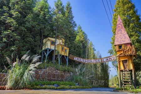 自由家树屋世界 自由家树屋世界预订 电话 地址 飞猪酒店