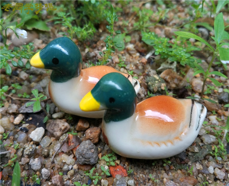 自然乡村田园艺植物盆栽彩色陶瓷小动物鸳鸯戏水茶盘茶几摆件装饰