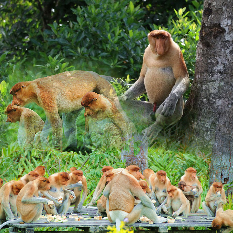 补差价专用链接
