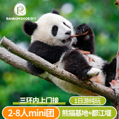 8人小团成都大熊猫基地都江堰熊猫谷三星堆一日游跟团纯玩