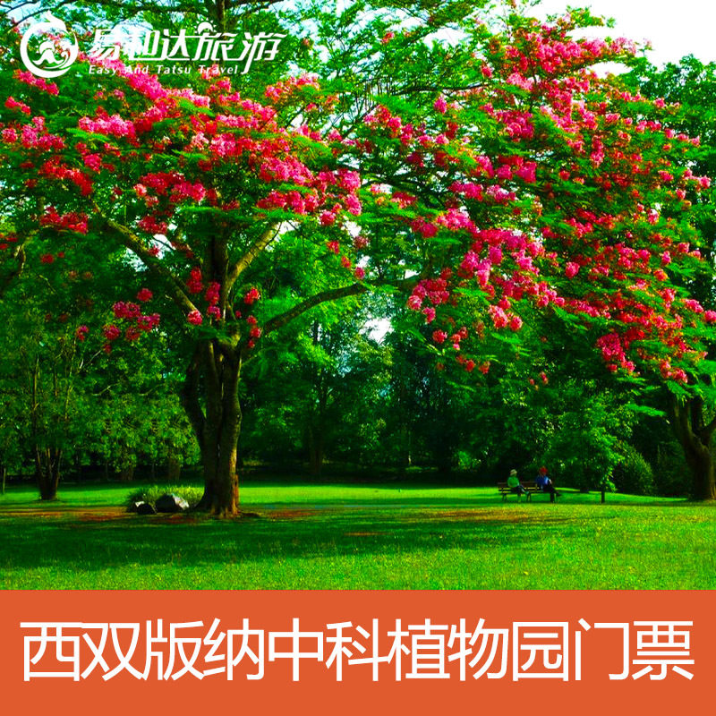 [中国科学院西双版纳热带植物园国内票务