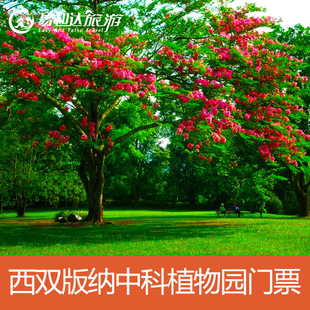 [中国科学院西双版纳热带植物园-大门票]中国科学院西双版纳热带植物园成人门票