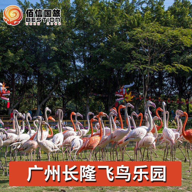 [广州长隆飞鸟乐园-1日门票]广州长隆飞鸟乐园原鳄鱼公园门票