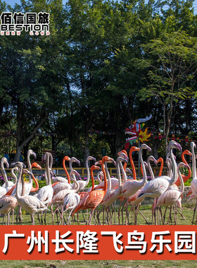 [广州长隆飞鸟乐园-1日门票]广州长隆飞鸟乐园原鳄鱼公园门票