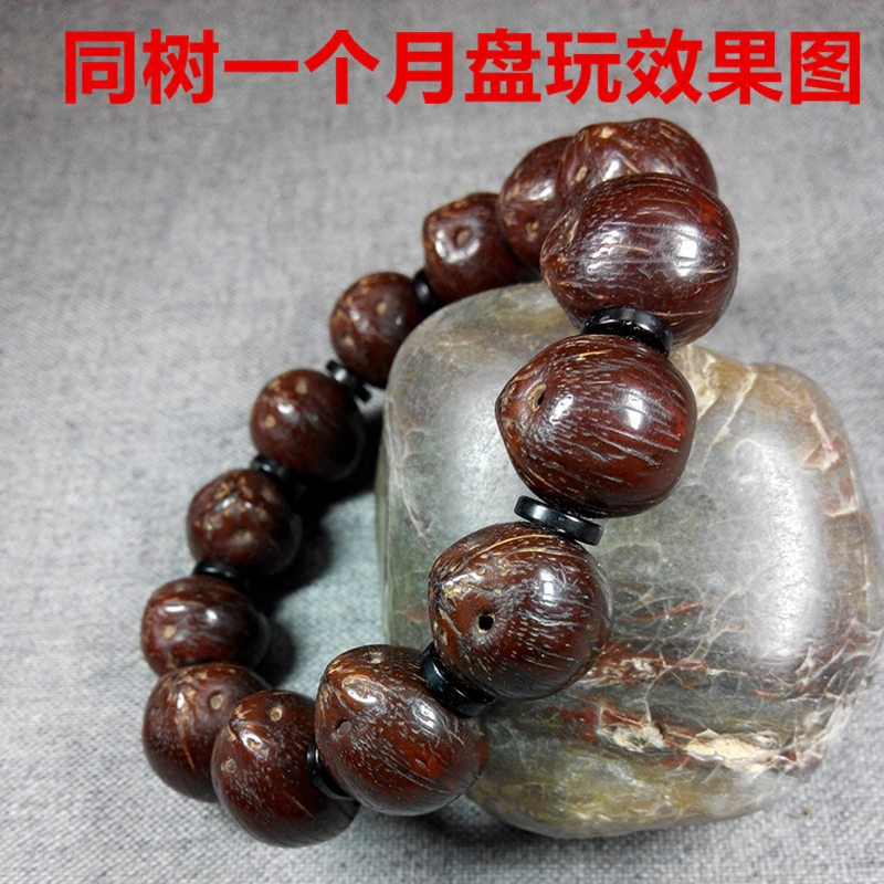 近正圓紫金鼠招財鼠菩提子手串 三眼菩提子 佛珠手鏈前鼠後貓差壹在類目 飾品/流行首飾/時尚飾品新, 佛珠/木質手串, 手串/寶珠中 - 來自Buy2taobao.com提供專業的淘寶代購服務